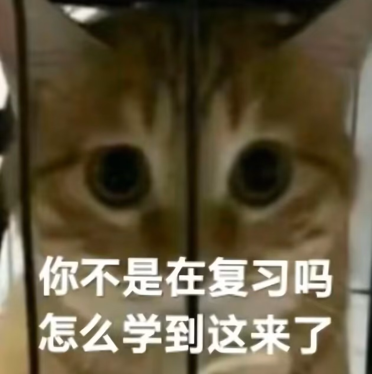 那我问你