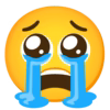 :sob_pleading_face: