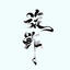 xuanzha