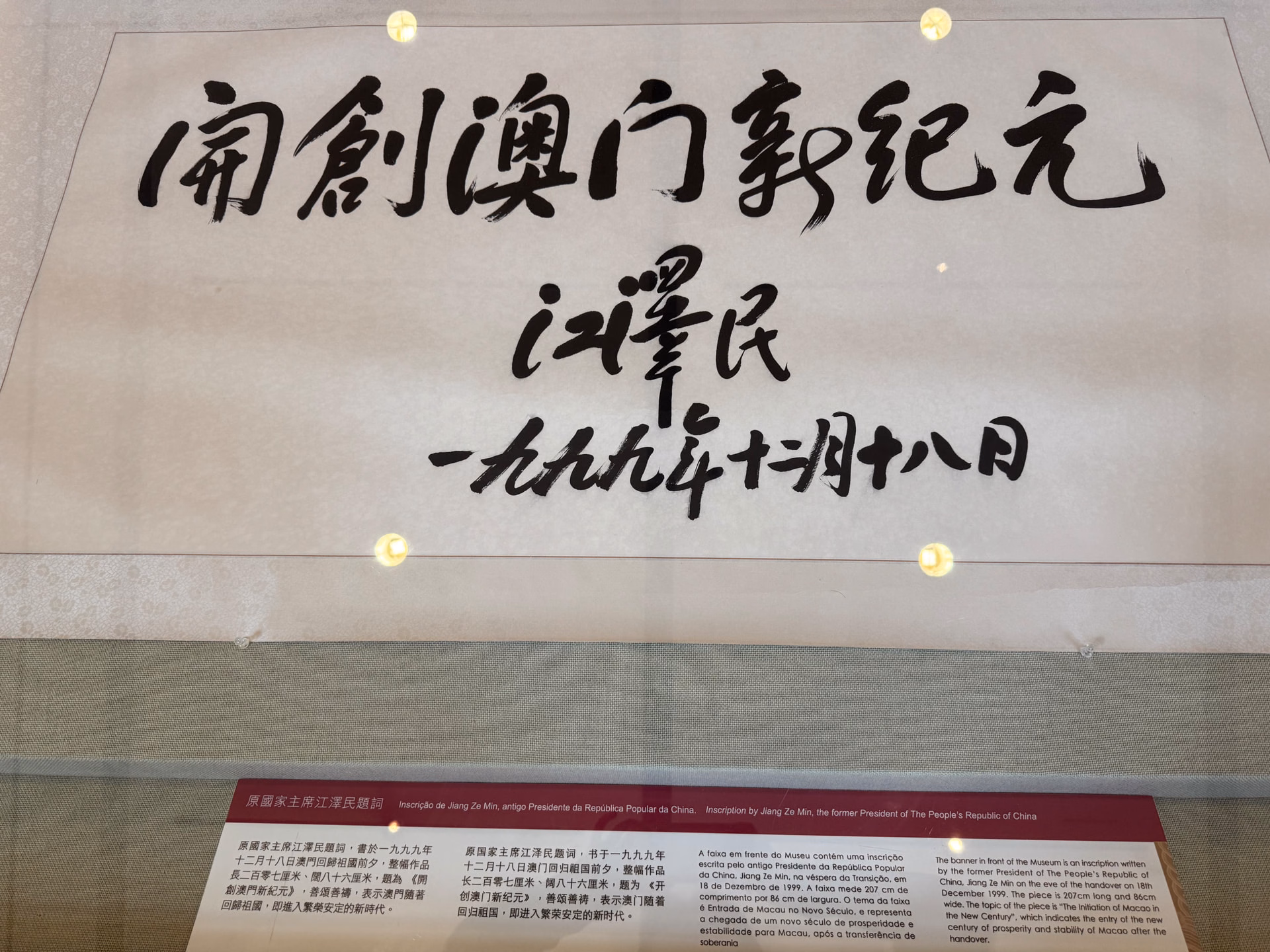 IMG_6447
