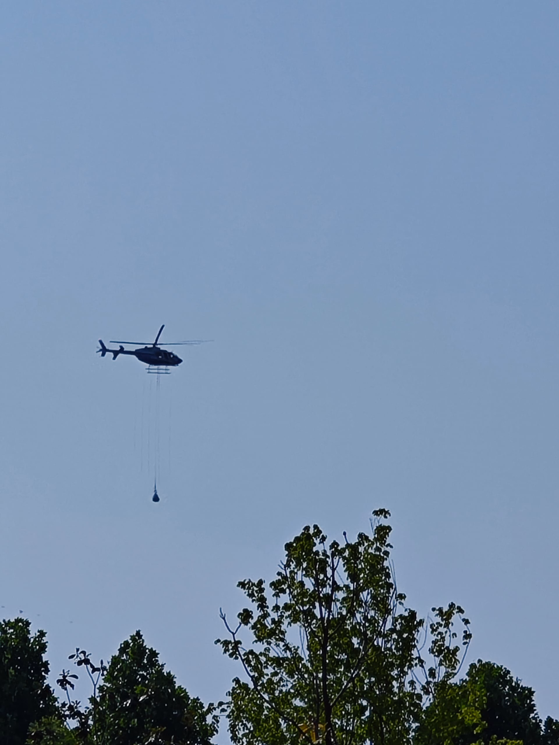 IMG_20240516_161318
