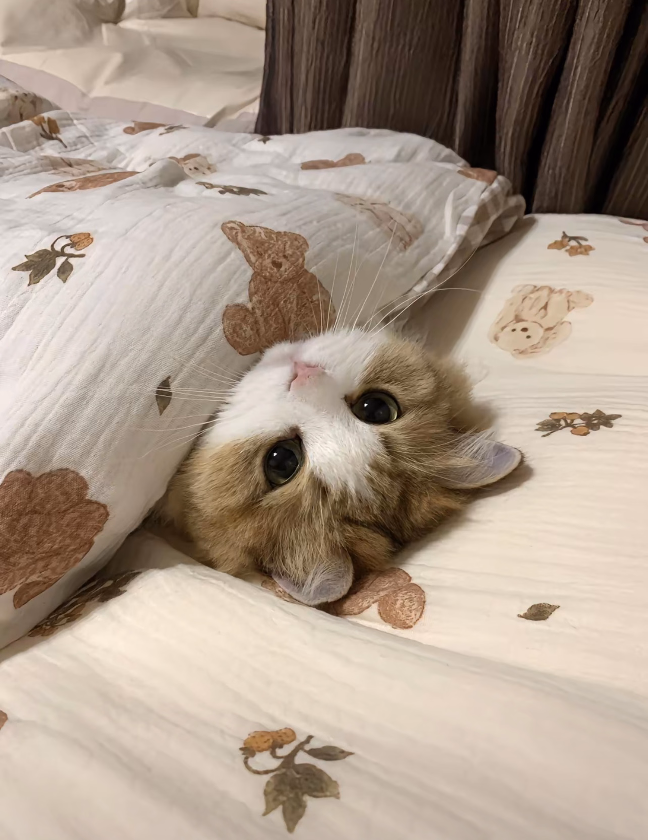 mikhail