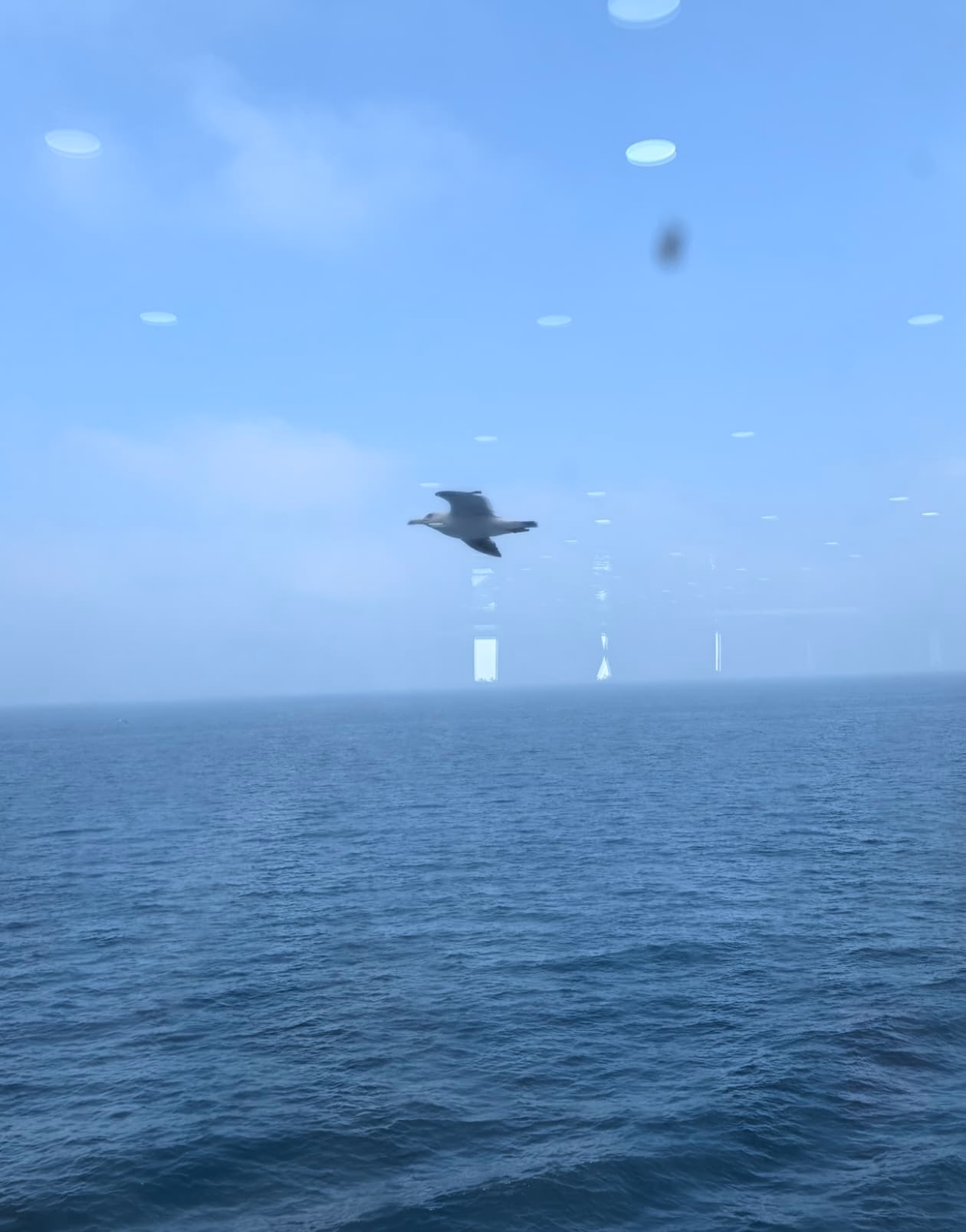 Screenshot_20250801_233844