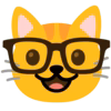:nerd_face_cat: