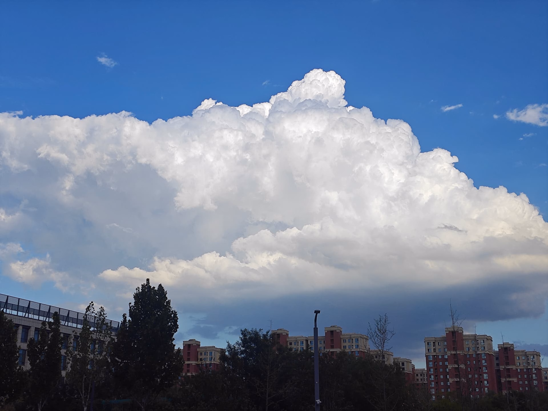 MVIMG_20250817_175740