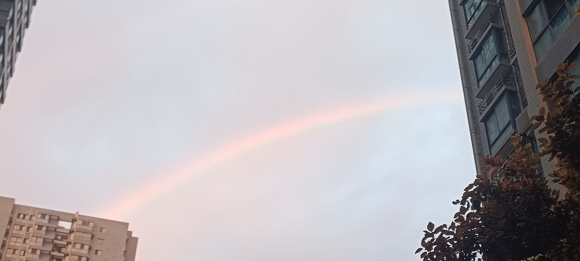 MVIMG_20240616_195358