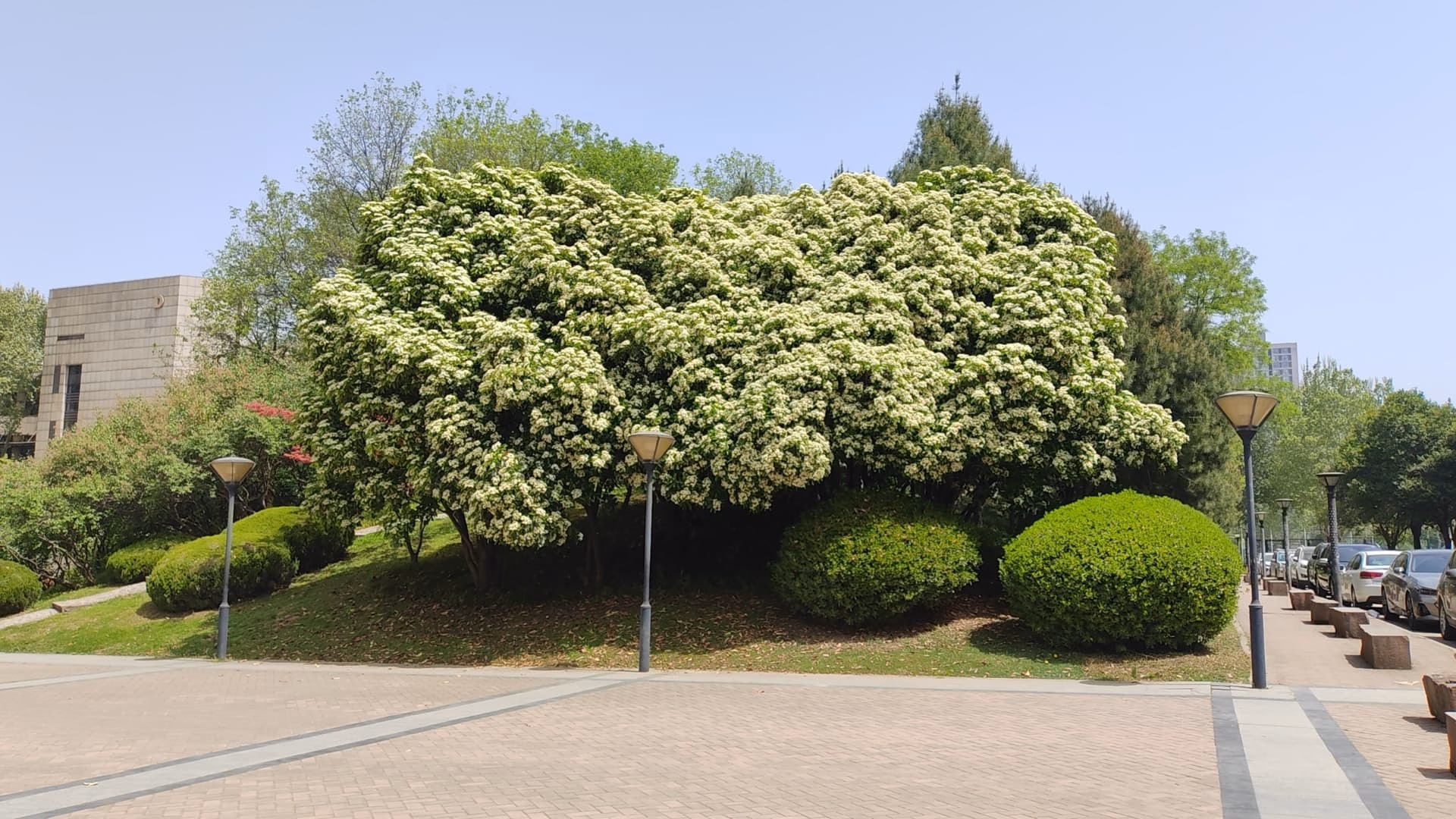 wx_camera_1744261122696