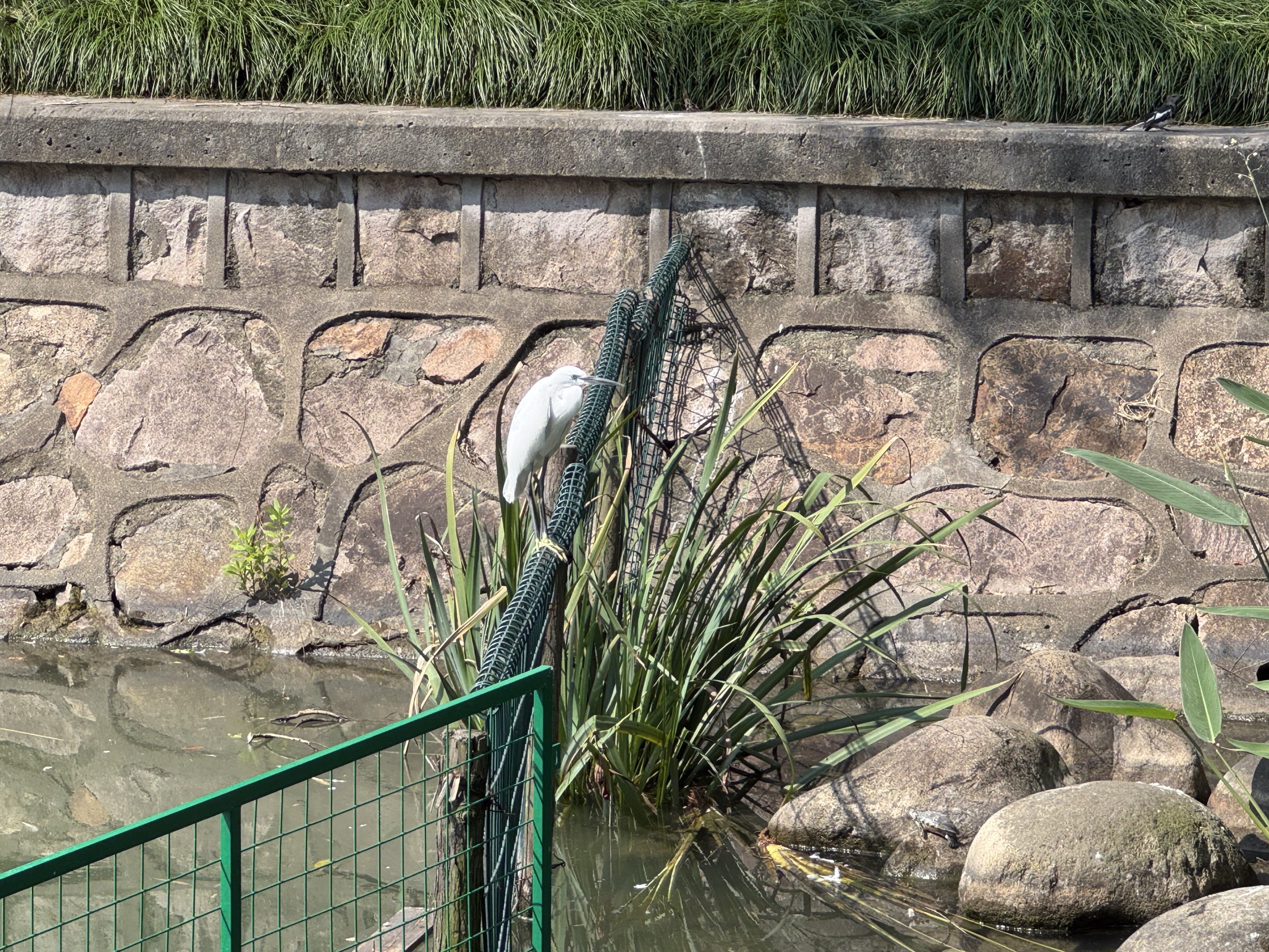 IMG_3039.jpeg