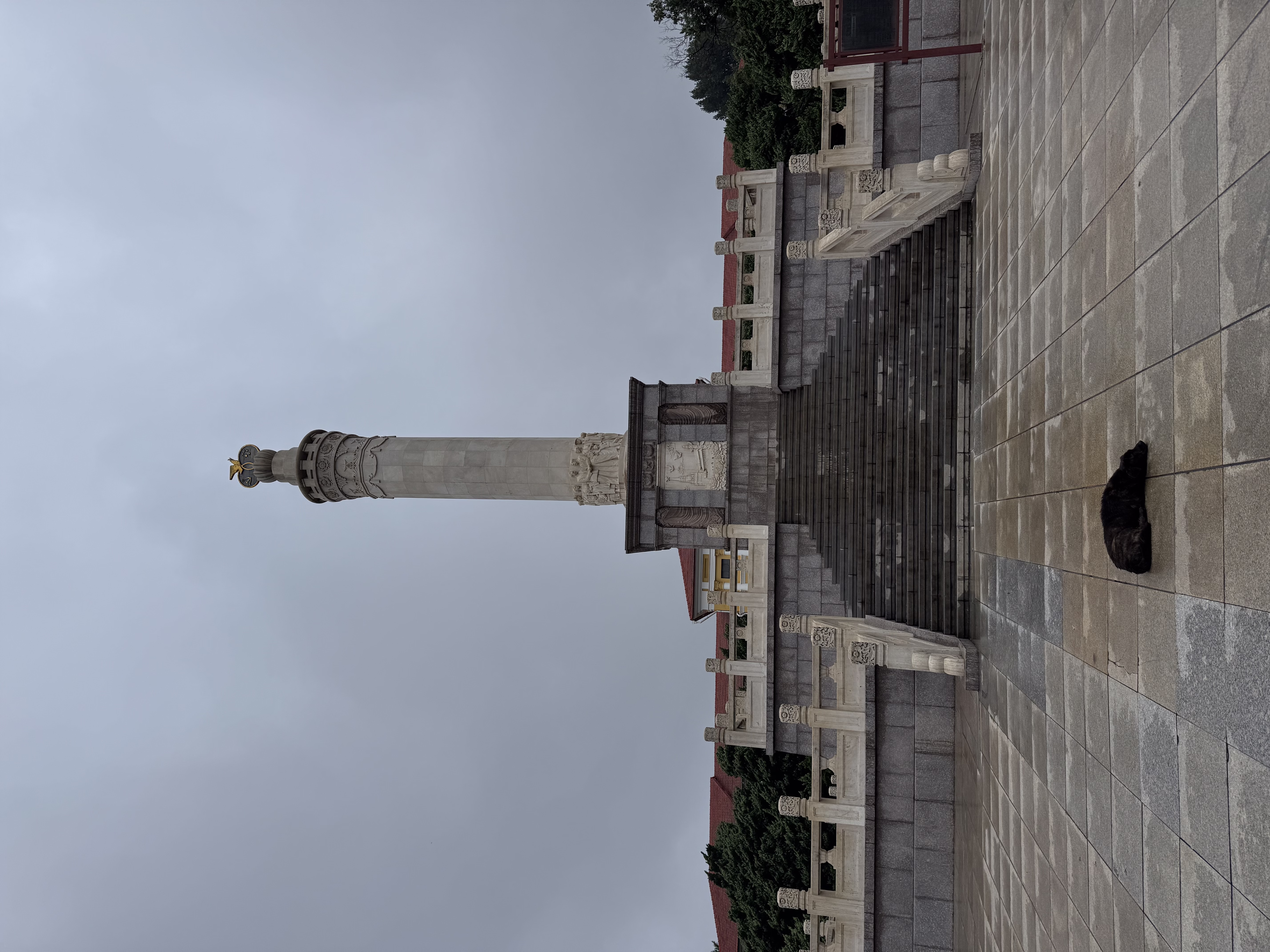 IMG_0143.jpeg