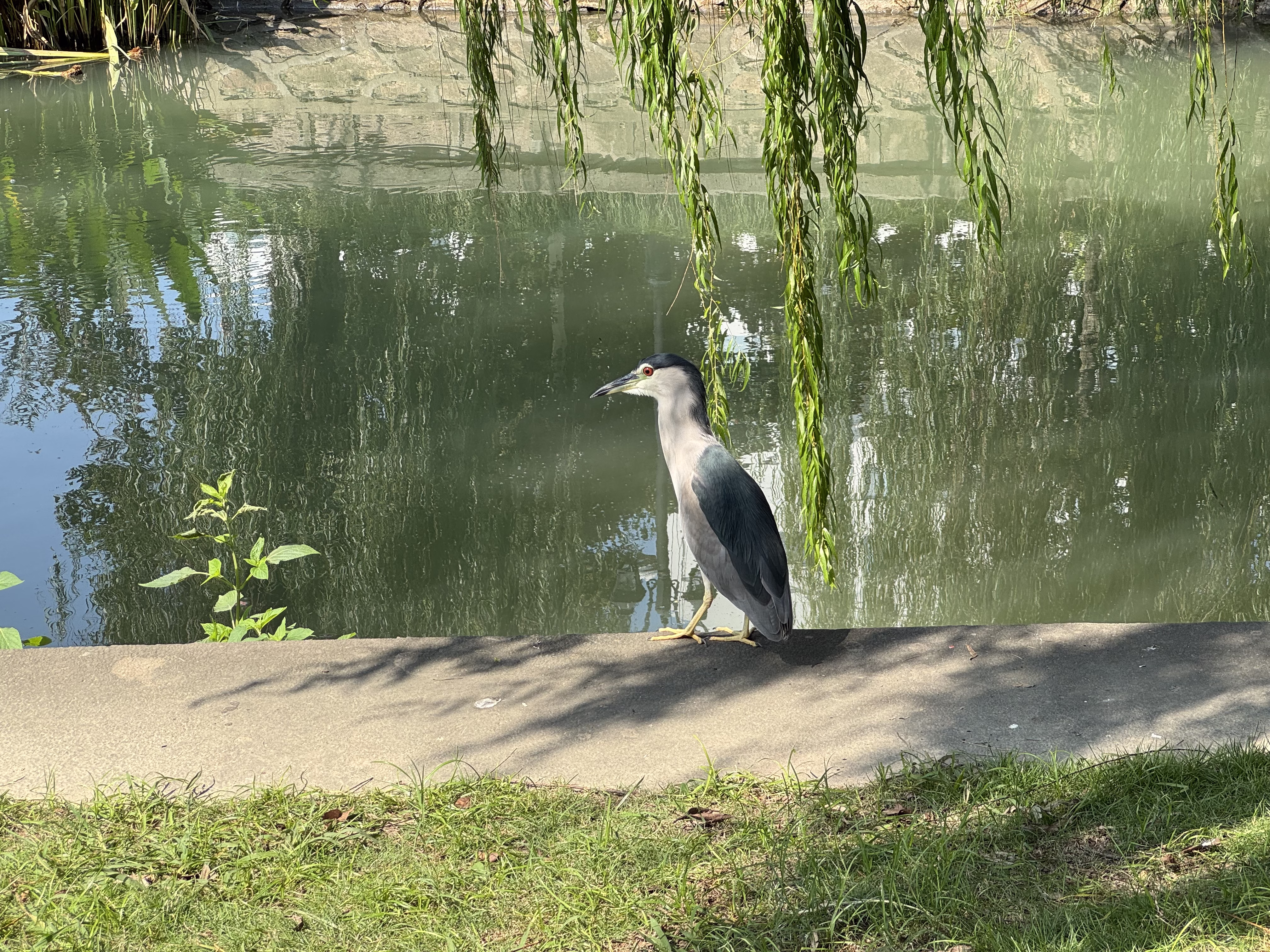 IMG_3048.jpeg