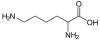 离胺酸 Lysine