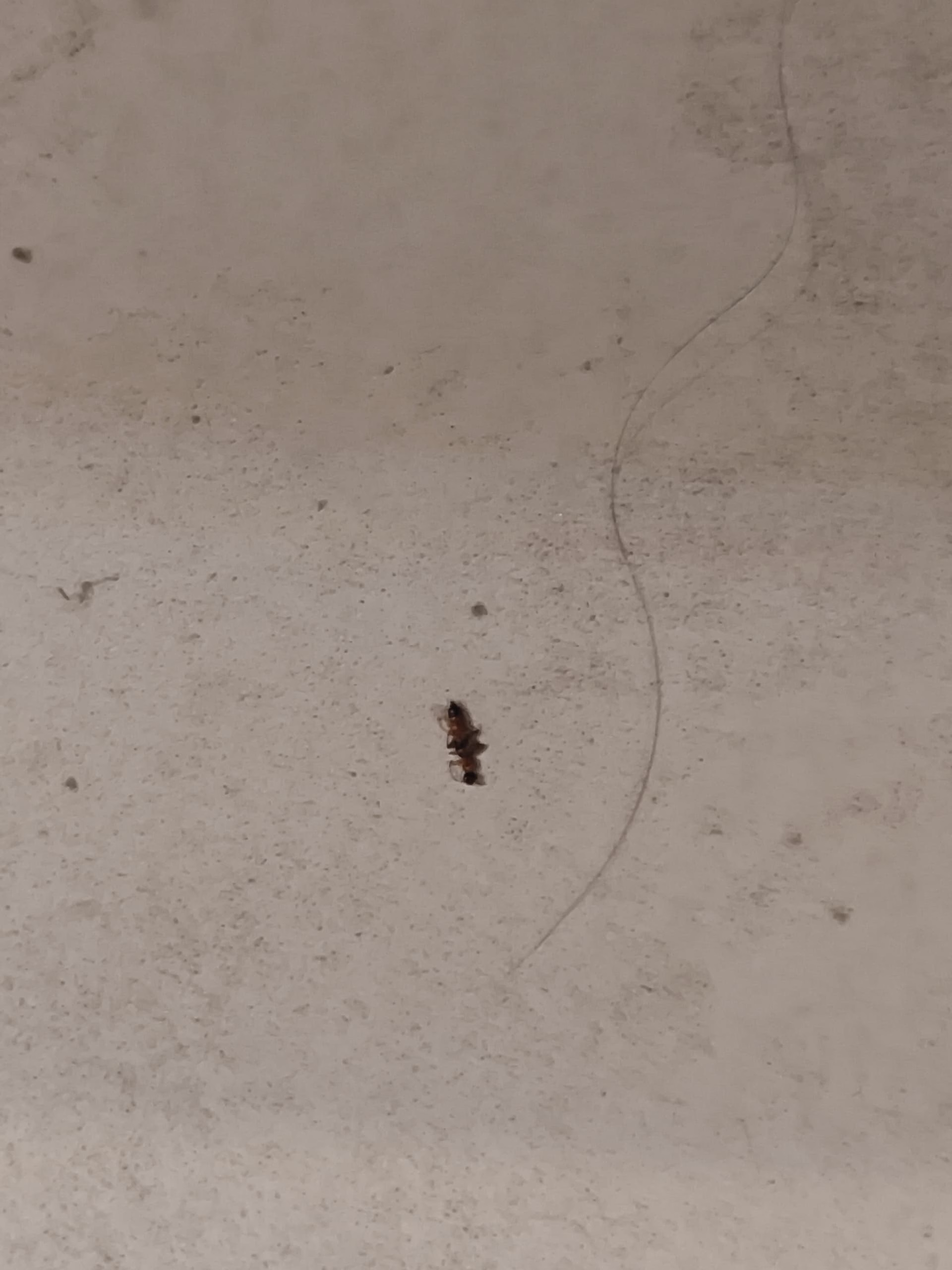 MVIMG_20250822_010402