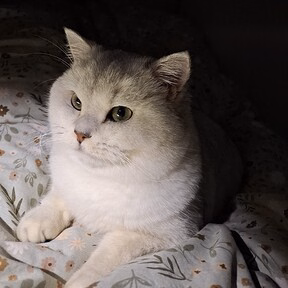 生活