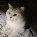 生活