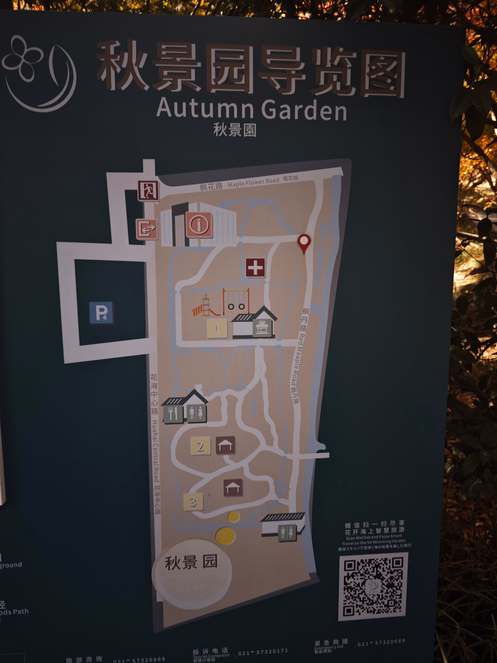 MVIMG_20251129_123216