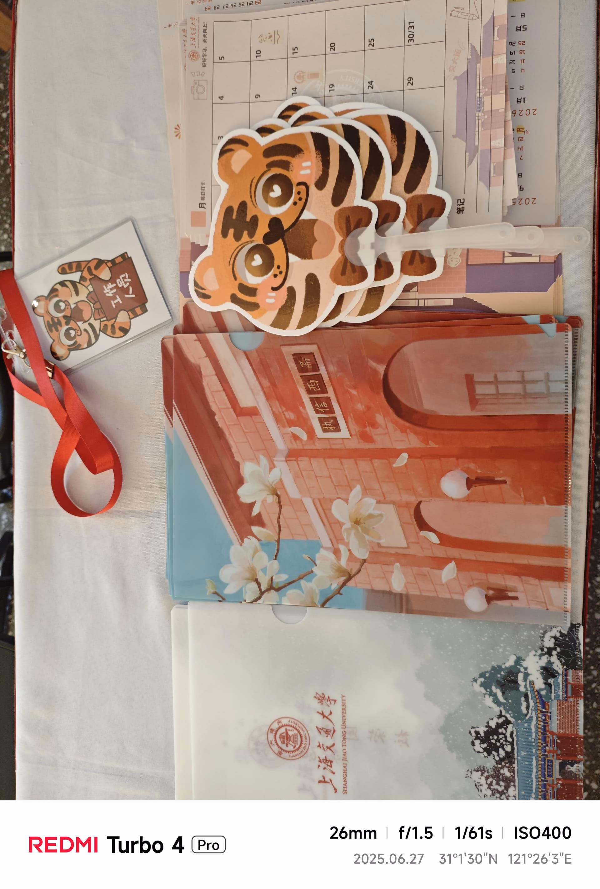 MVIMG_20250627_150307