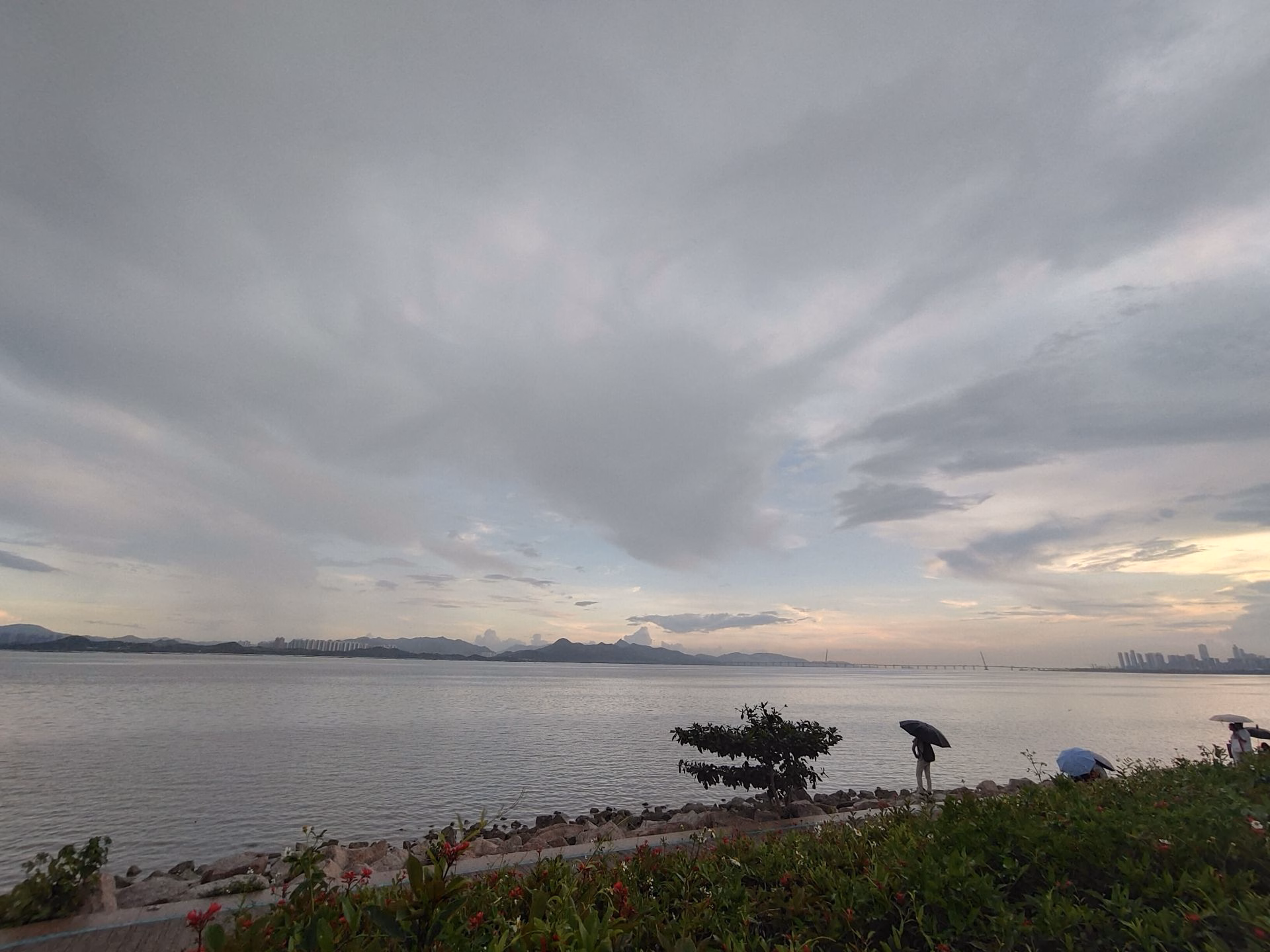 海的对面，是香港