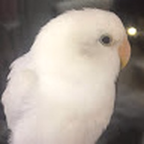 hiixfj
