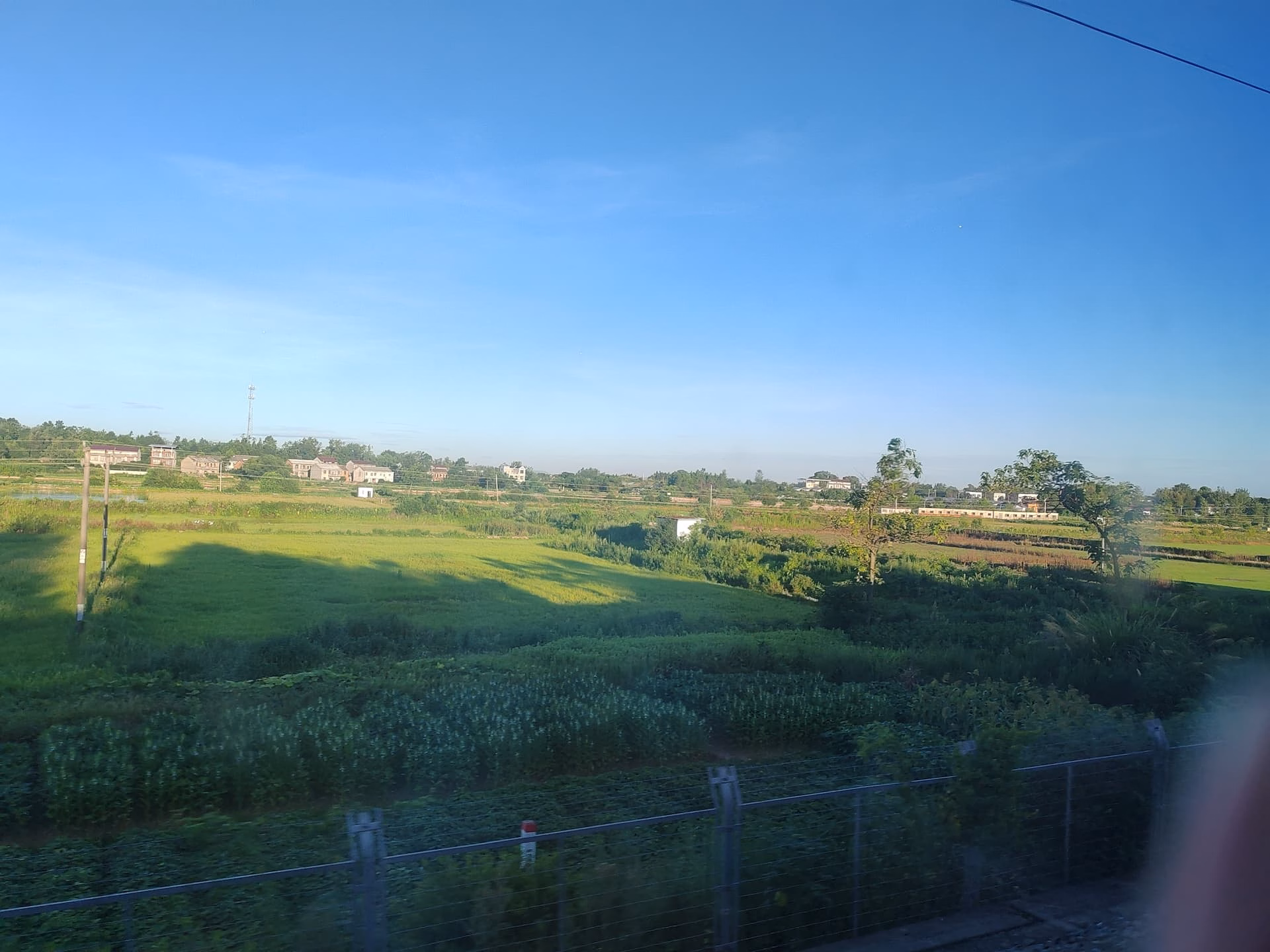 IMG_20250721_062028
