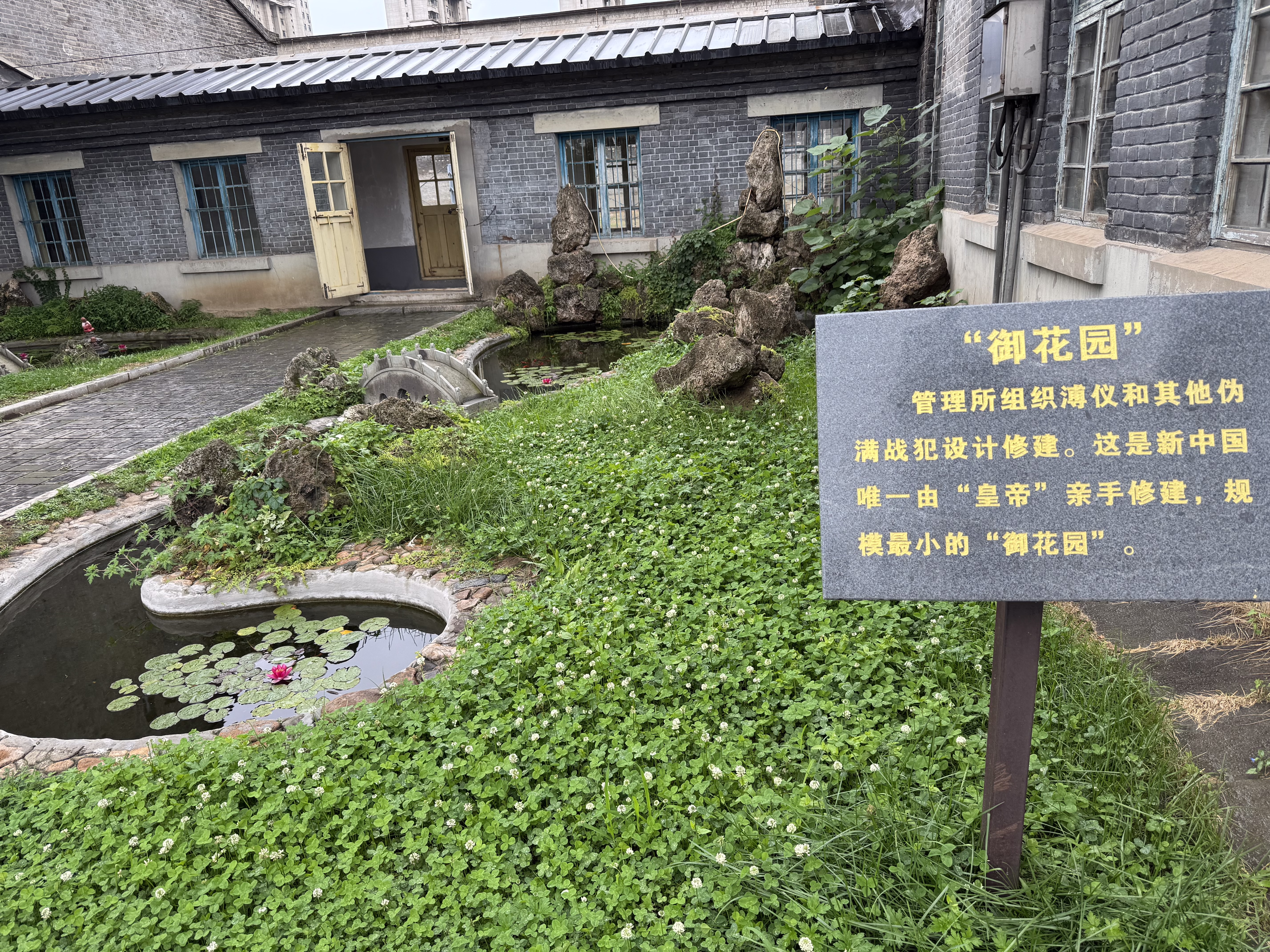 IMG_9414.jpeg