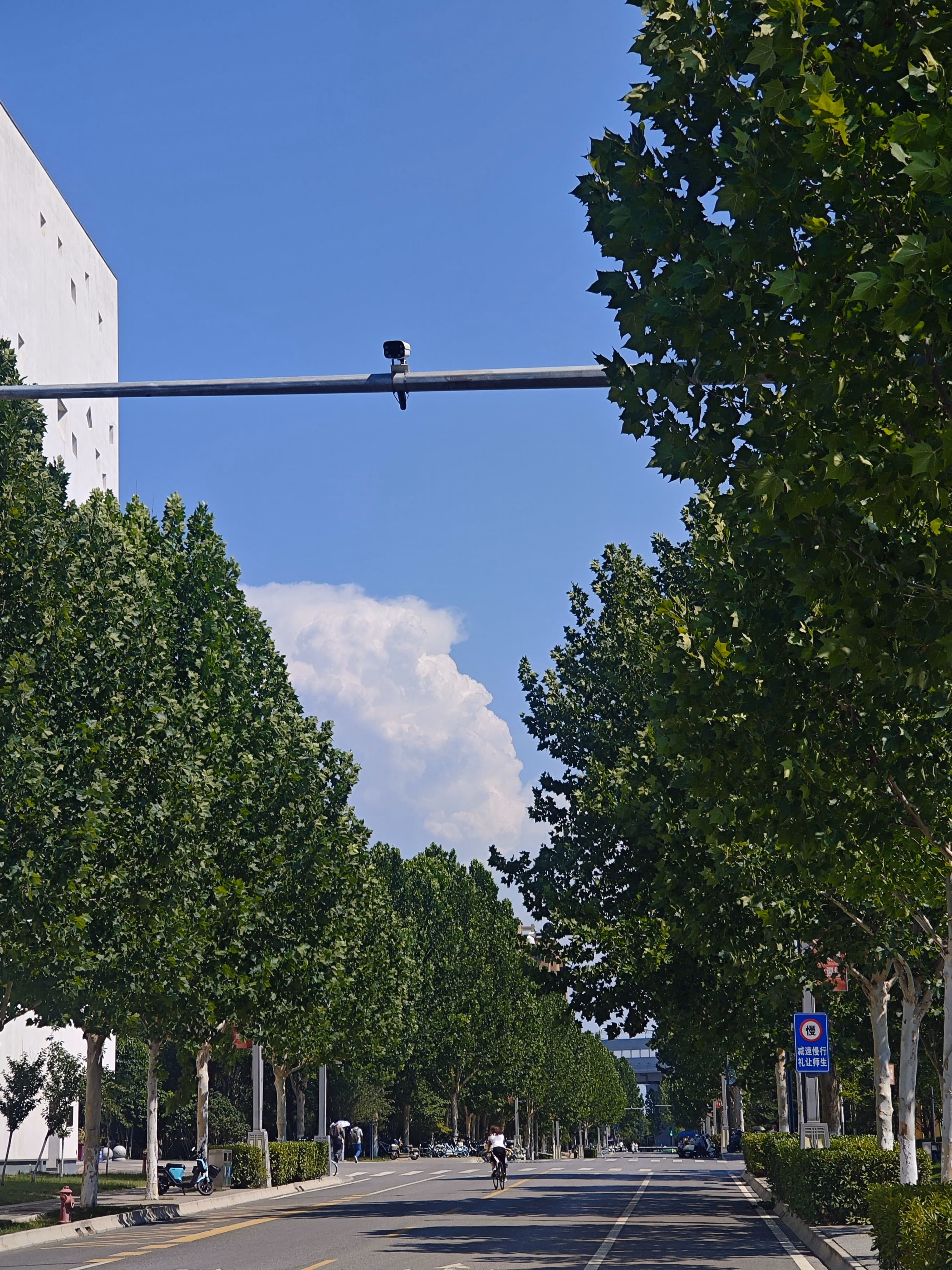 MVIMG_20250628_151746