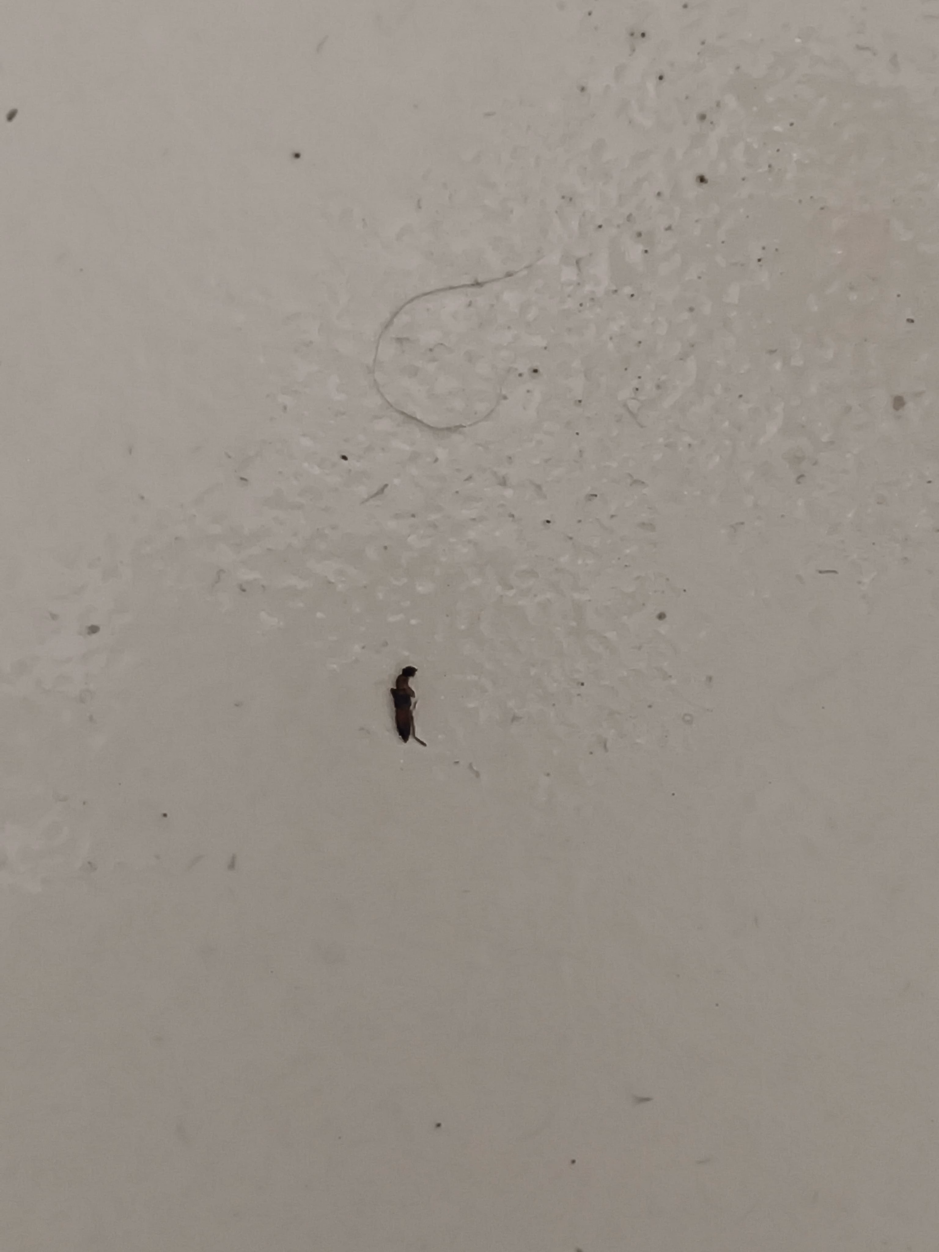 MVIMG_20250822_010838