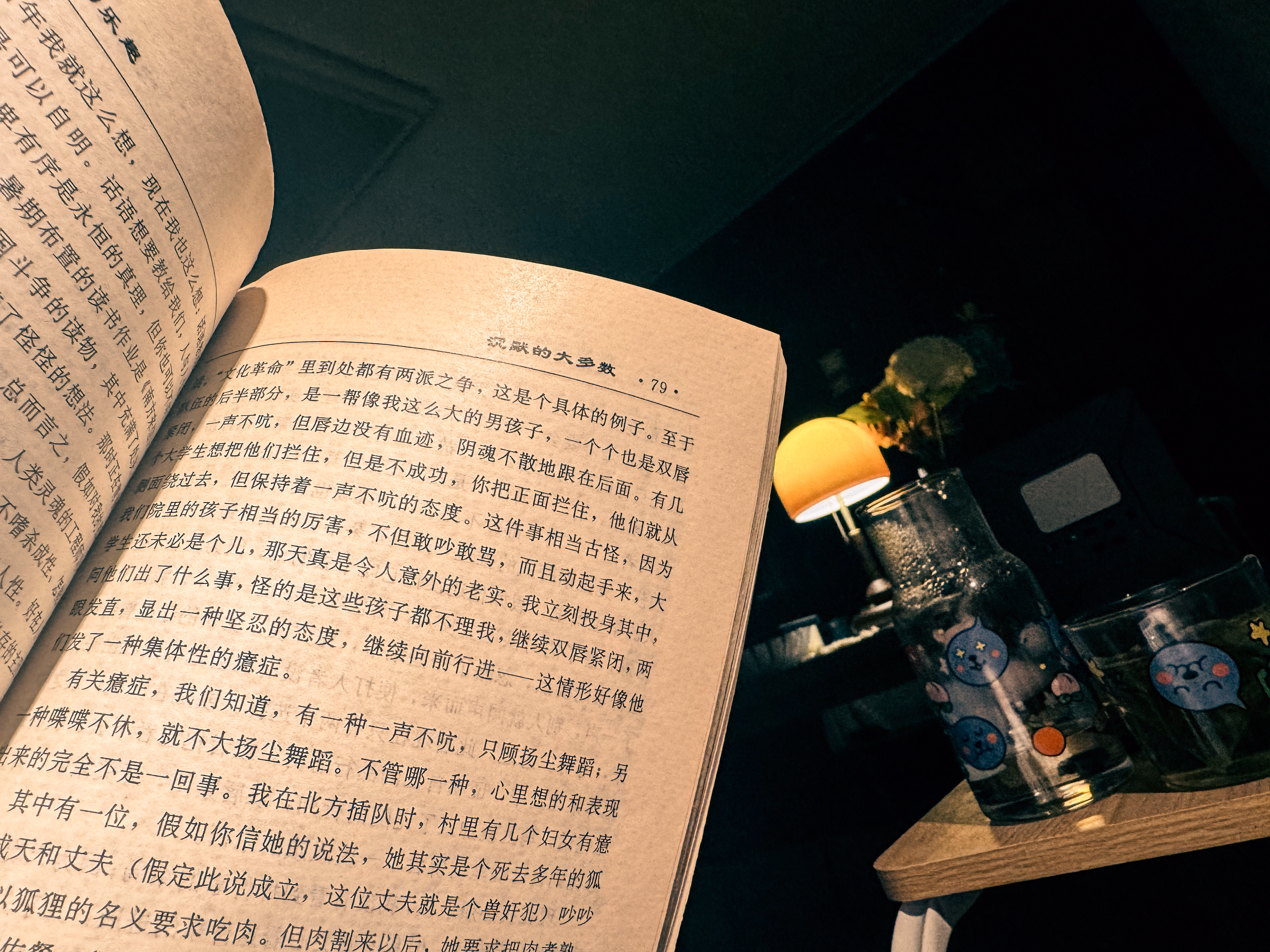 聊以自慰