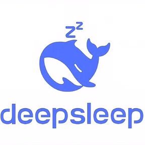 DeepSleep