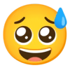:sweat_smile_pleading_face: