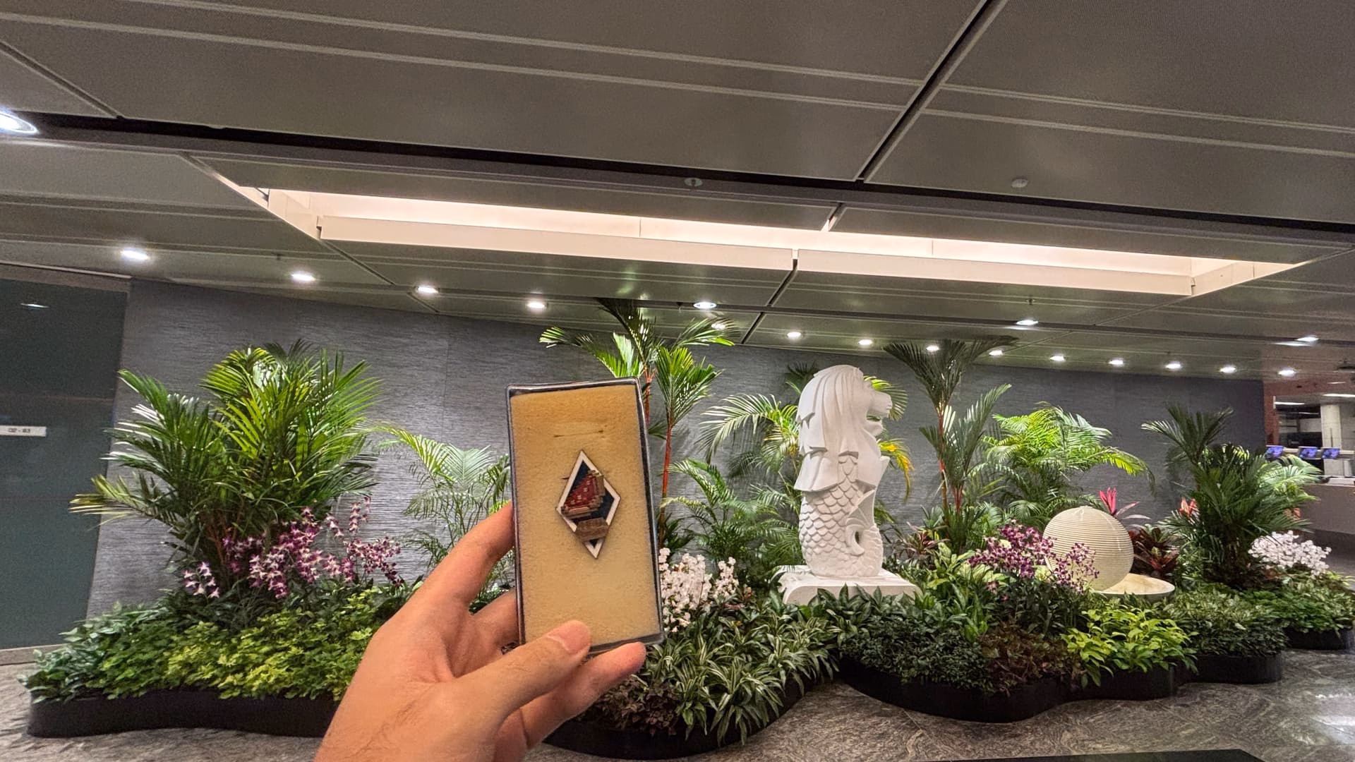 鱼尾狮，但是樟宜机场