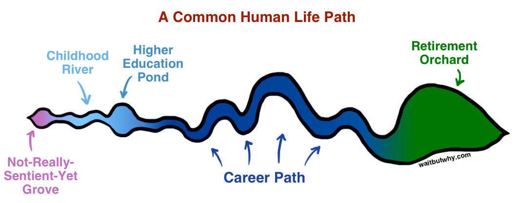 Life-path