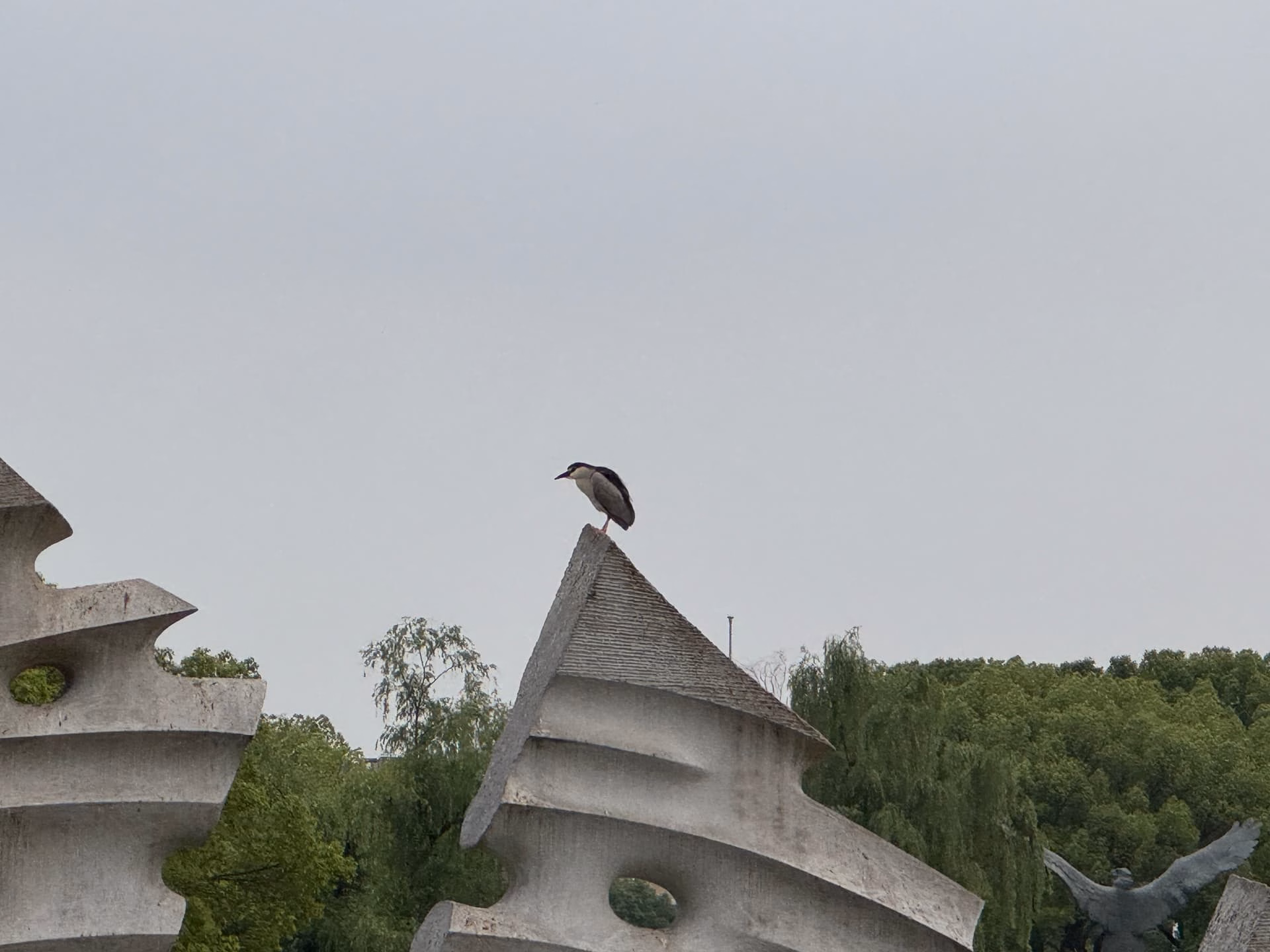 IMG_7951