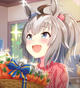 Trainer