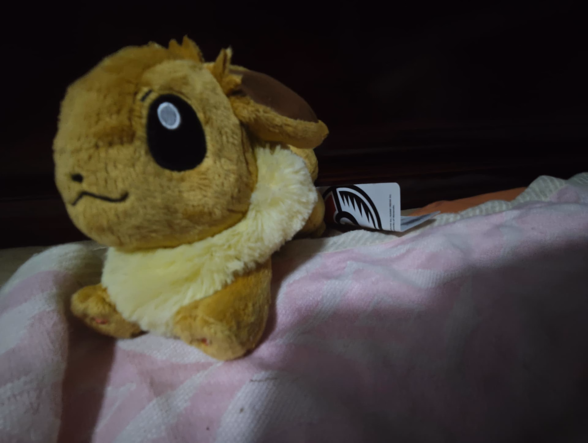 MVIMG_20250812_015335