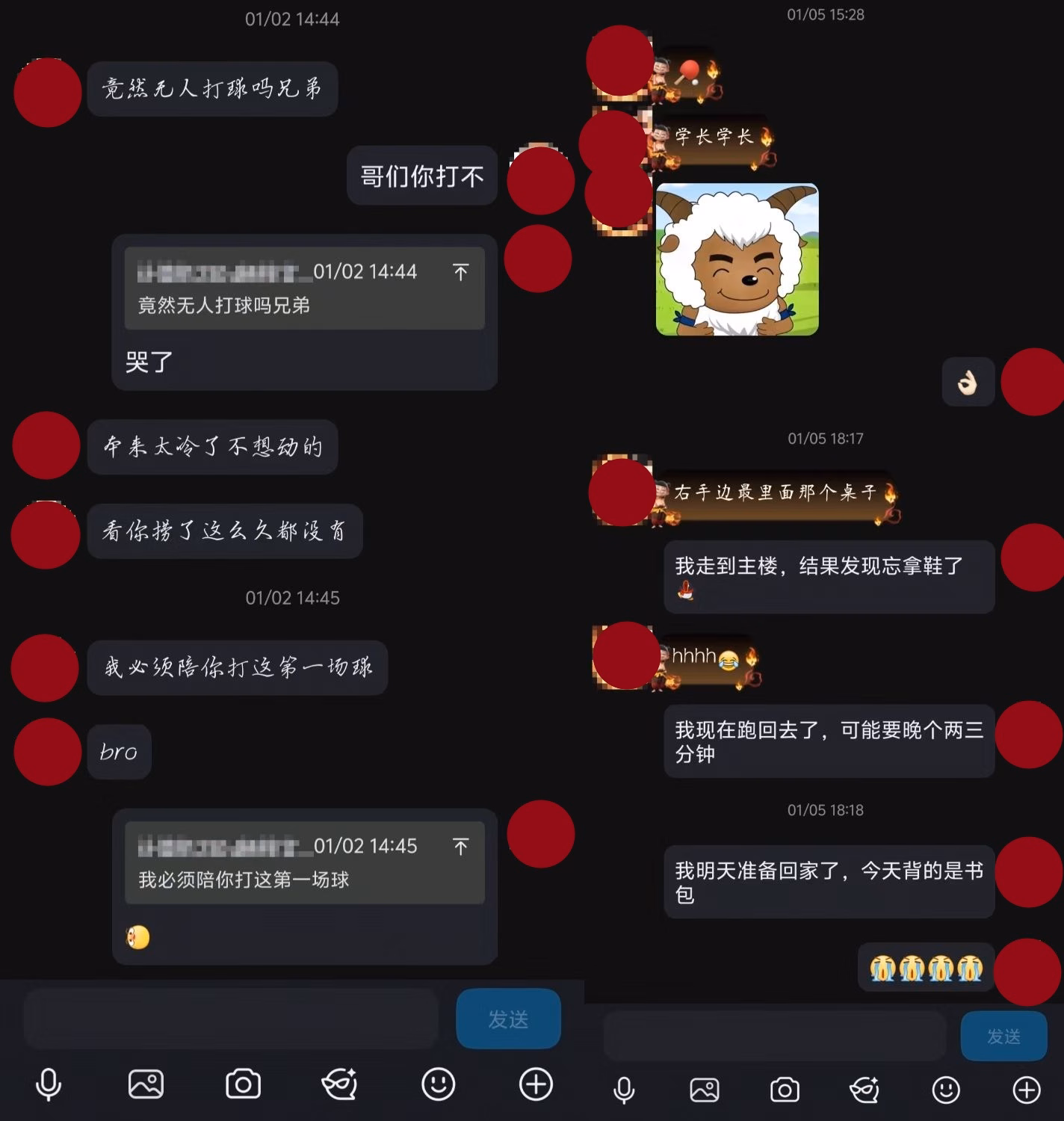 微信图片_2026-06-17_235142_177