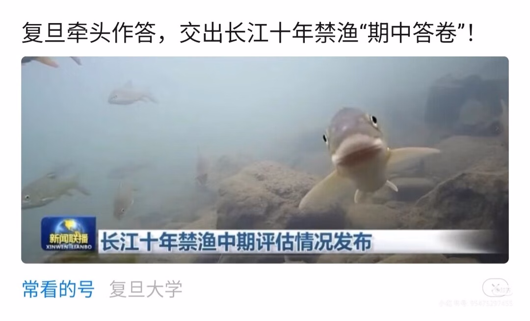Camera_1040g3k831s71vtkeledg5pp9mrg21c2kb79p0a8