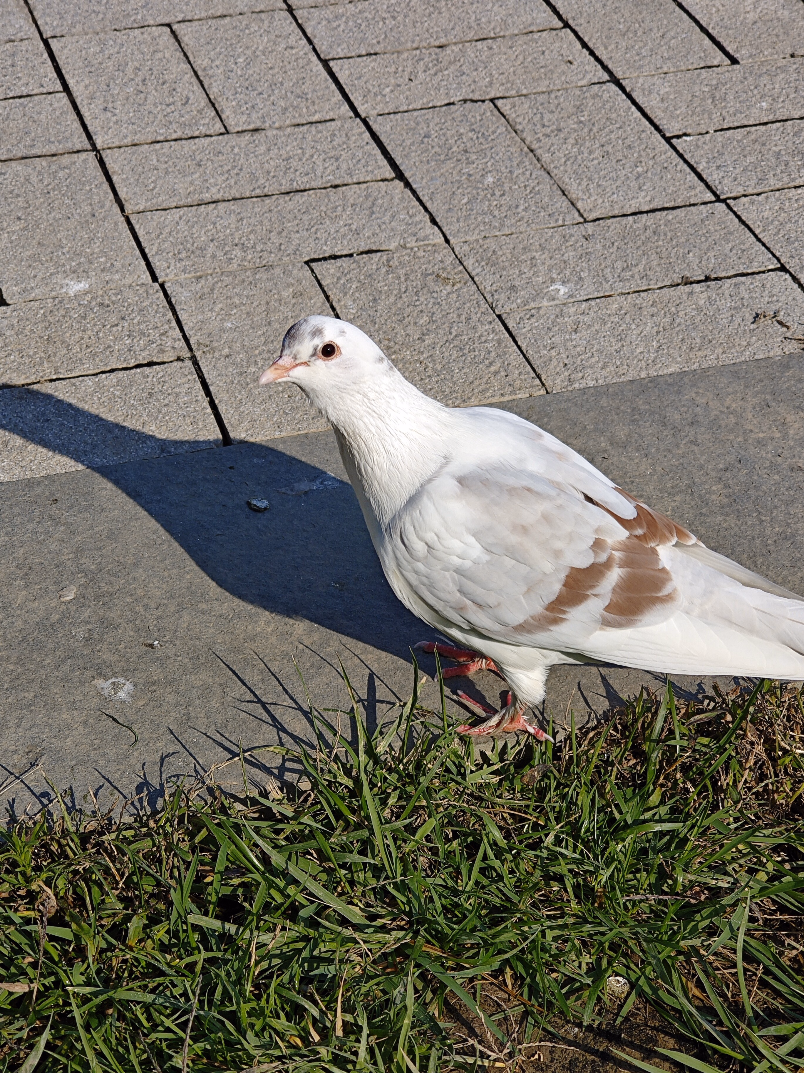 IMG_20231016_094431
