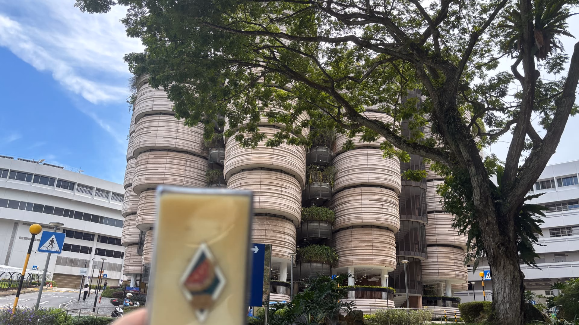 小笼包（中）
