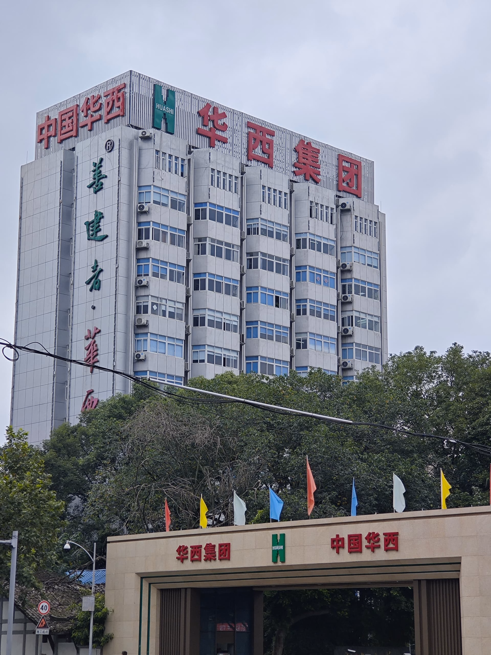 The image shows a tall building with a modern design, adorned with numerous Chinese characters and a row of colorful flags. (由 AI 生成标题)
